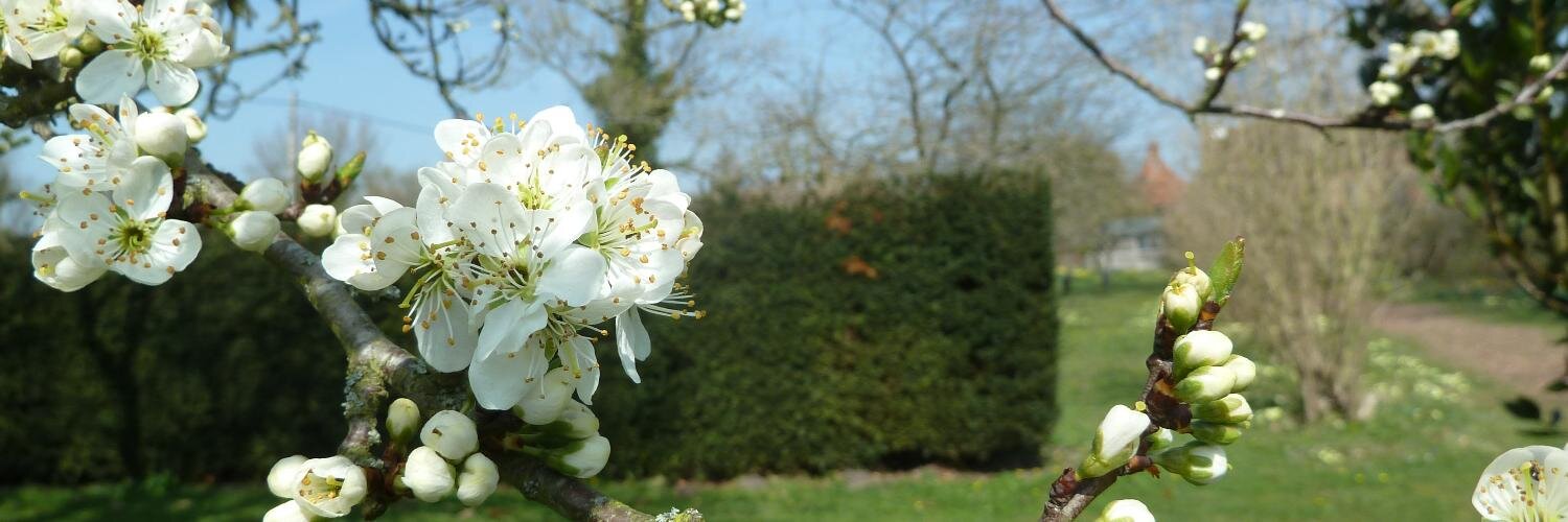 StephRose_01's profile banner image