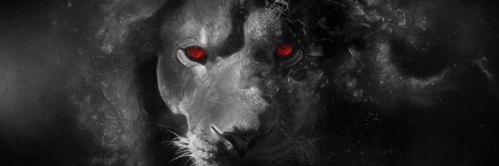 tommwaniki's profile banner image