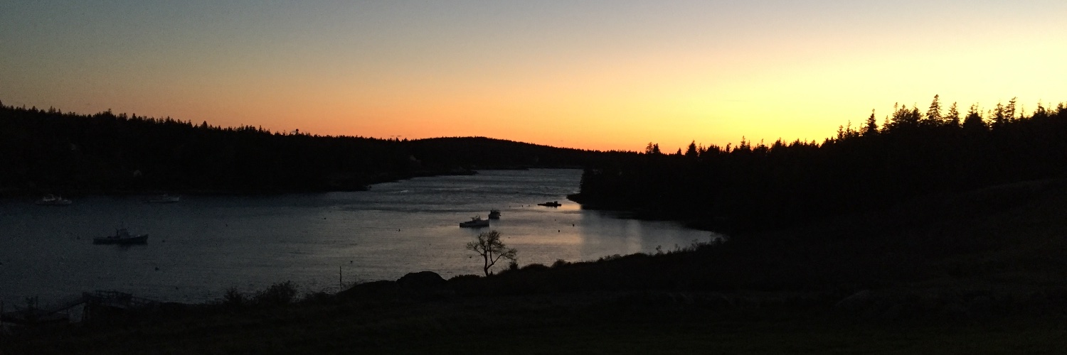 David Bennell banner