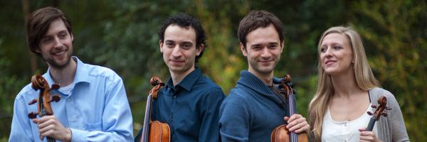 StringQAcademy Profile Banner