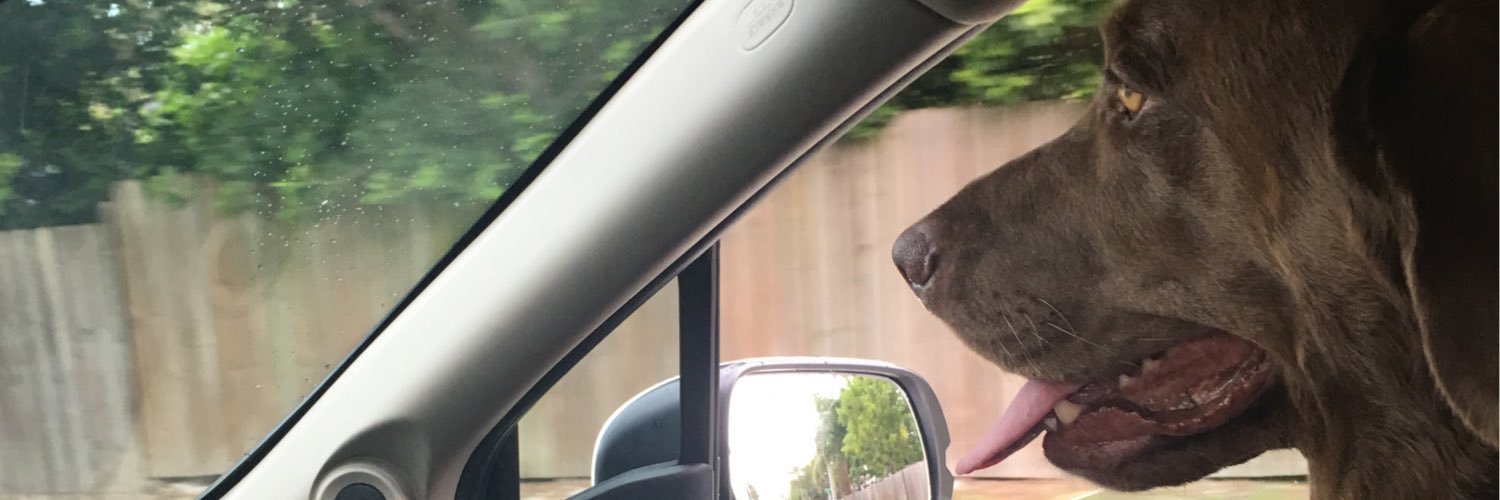 sixchickson66's profile banner image
