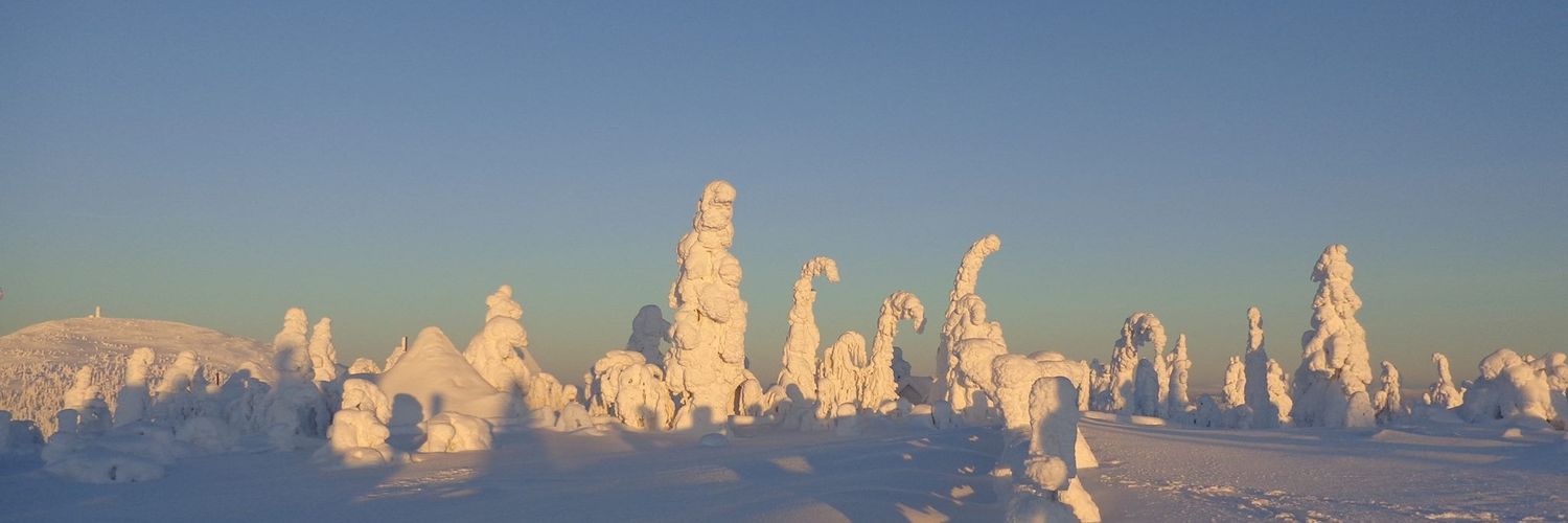 brmarijke's profile banner image