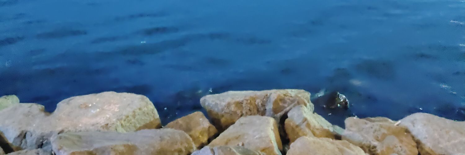 thispandablue's profile banner image
