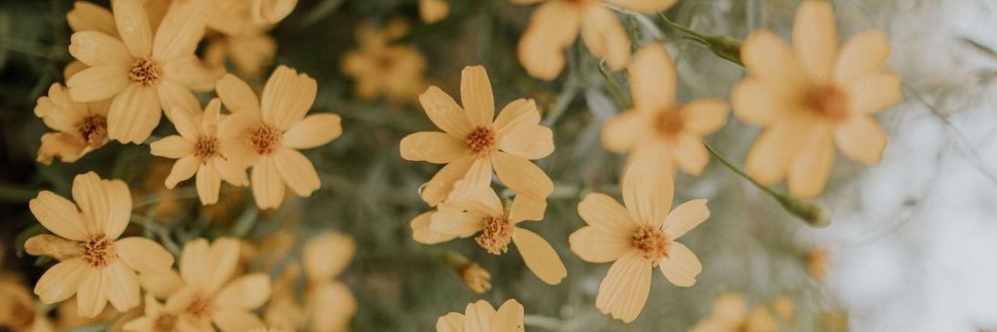 lettyletal's profile banner image