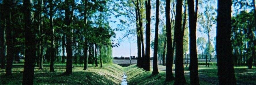 Dr Samantha Mitschke 🧡🇺🇦 banner