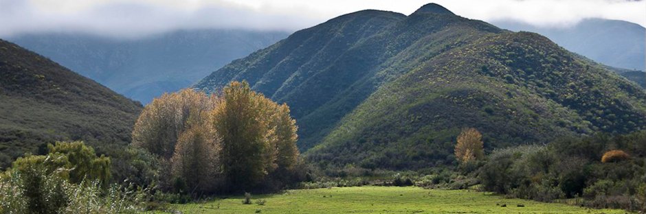 Pat Busch Reserve banner
