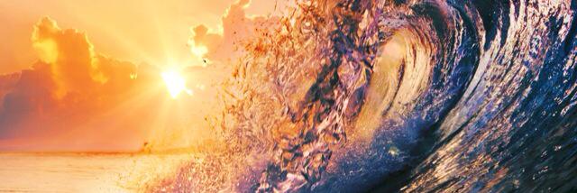 dani1oo6's profile banner image