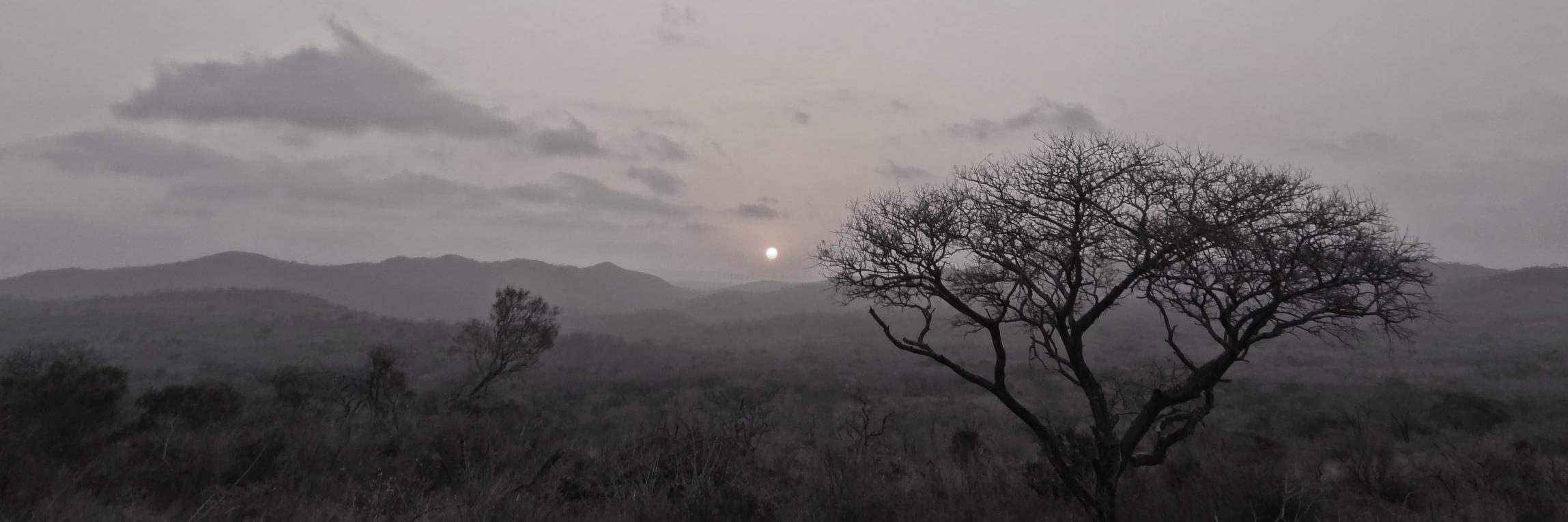 José Ramón Fernández banner