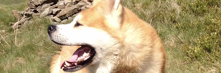oakesey08's profile banner image