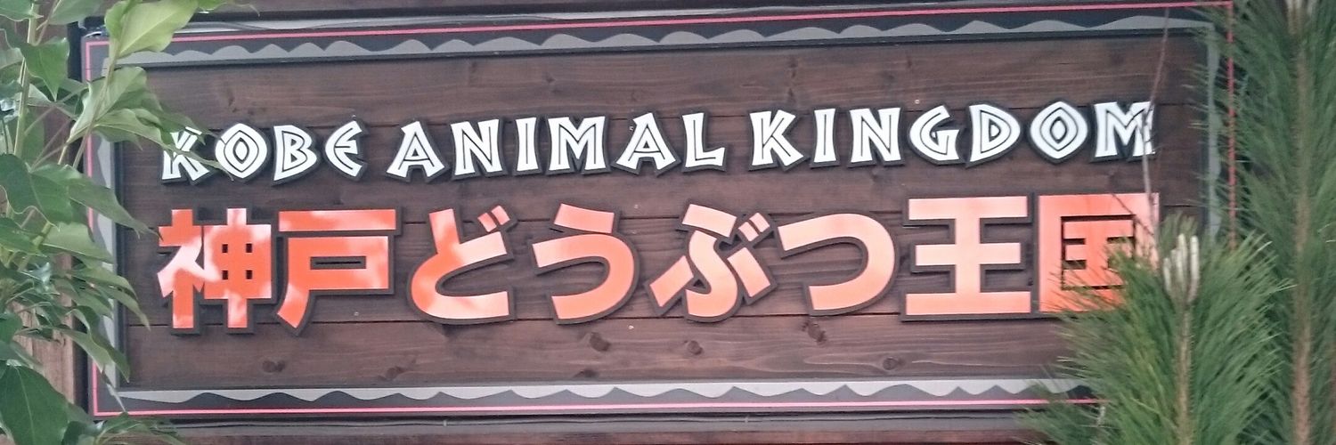 4co3's profile banner image