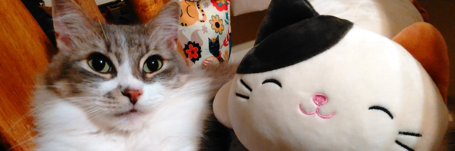 CatPersonArt's profile banner image