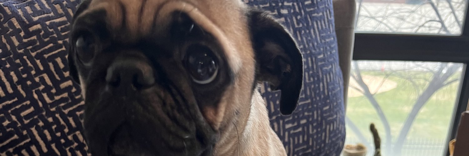 Lester Freamon banner