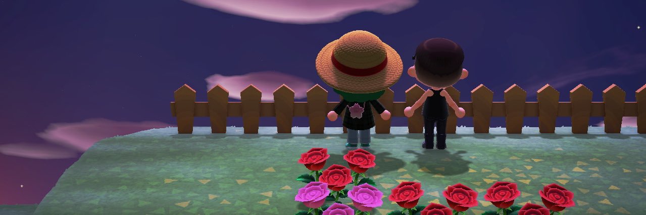 ginamels's profile banner image