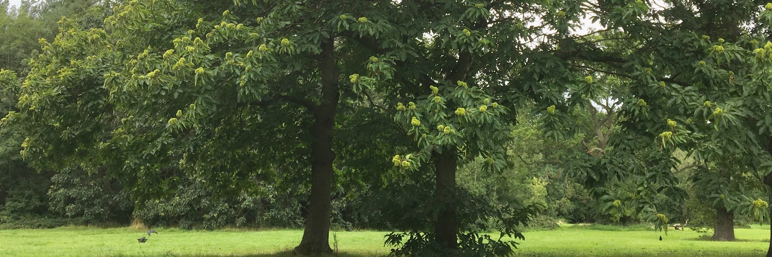 highbury park (@highburypark) / Posts / X