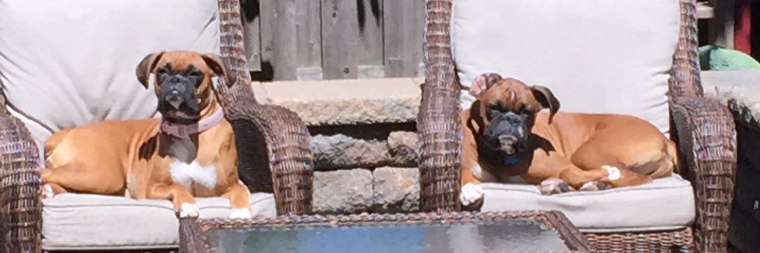 MrsLindgrenCCHS's profile banner image