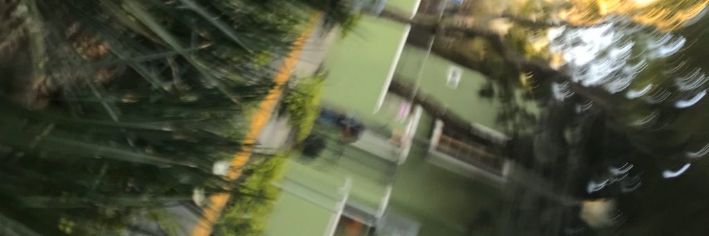 daisylumley's profile banner image