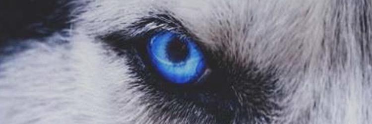 007supportdude's profile banner image