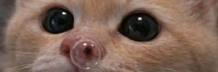 coffeecoaly's profile banner image