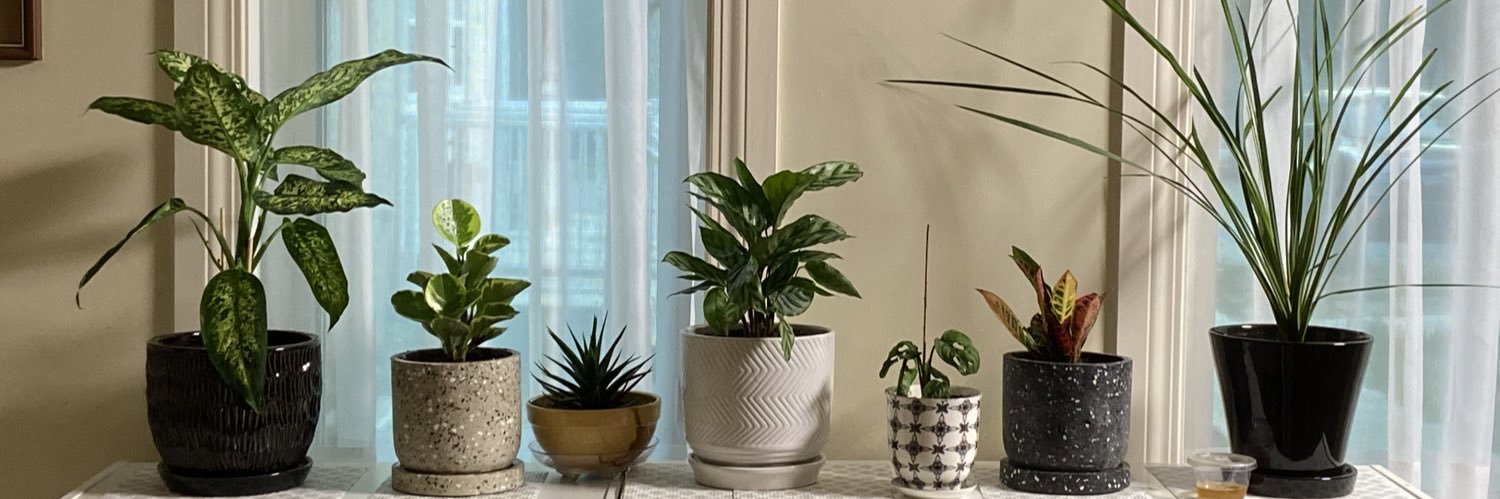 cheryanders's profile banner image