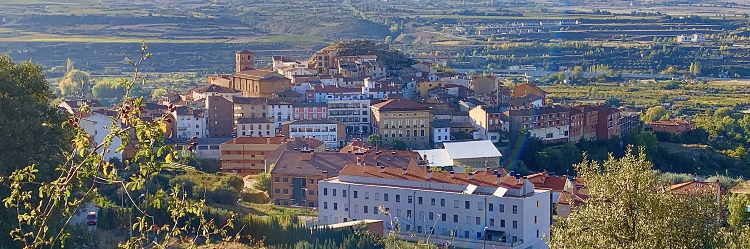 Daniel Osés Ramírez banner