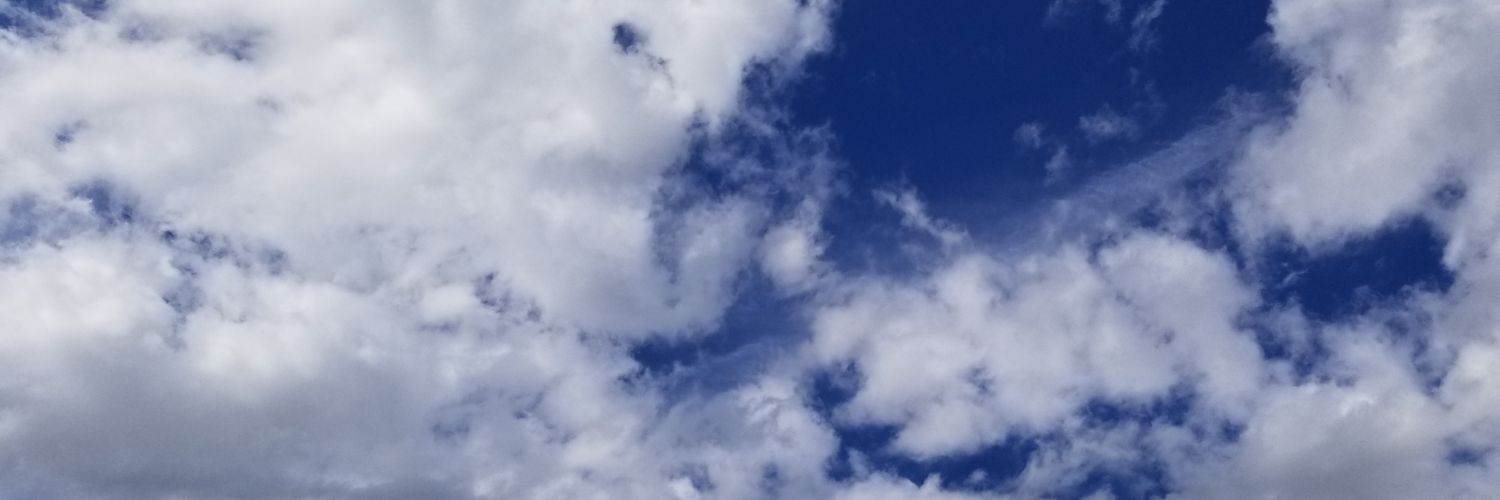flying_asu's profile banner image