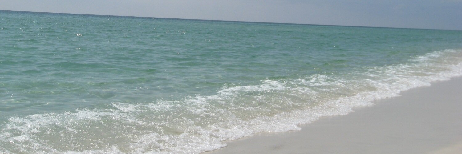 ZMcRaney's profile banner image