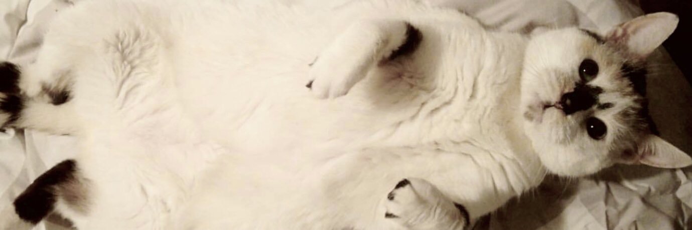 KingerLisa's profile banner image