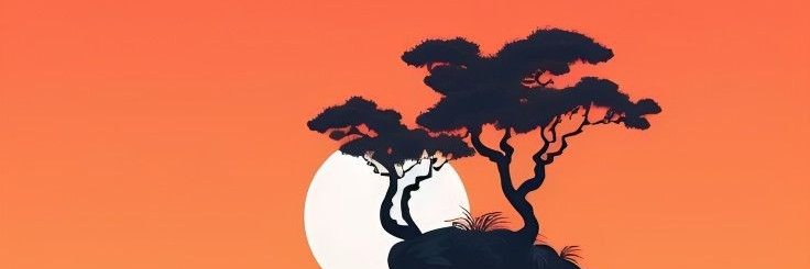 usman0202's profile banner image