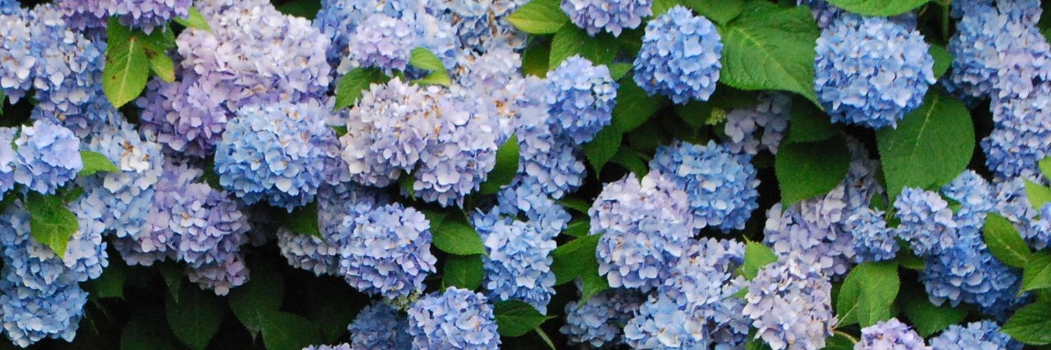 k_chalee's profile banner image