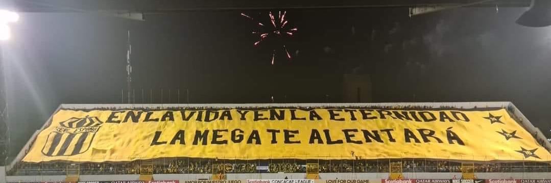 leo banner