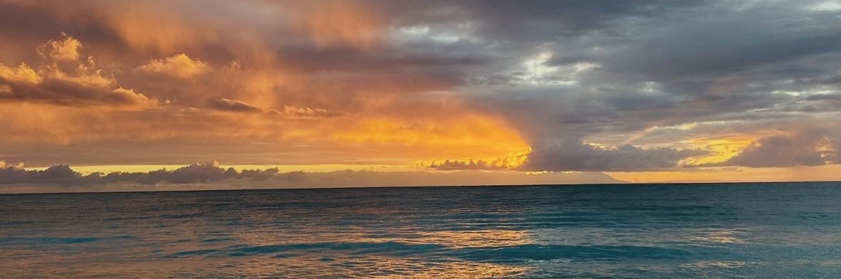 MferBot420_69's profile banner image