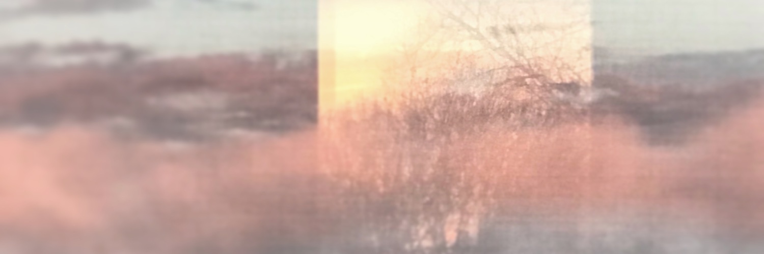 AidenFitzGerald's profile banner image
