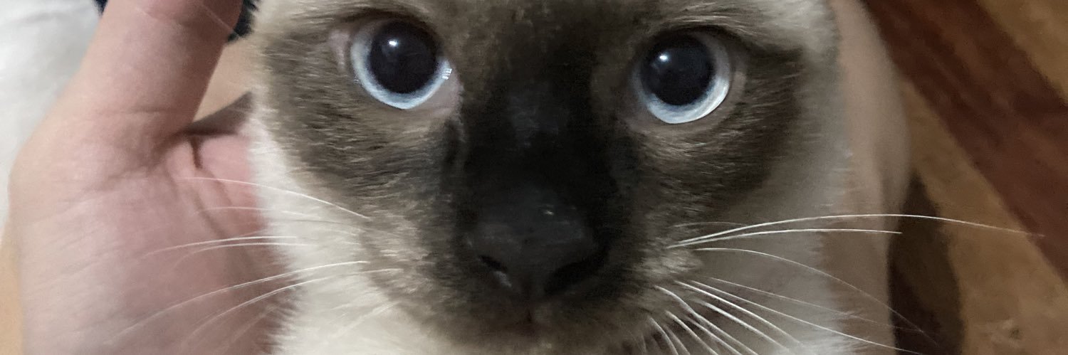 halamark's profile banner image