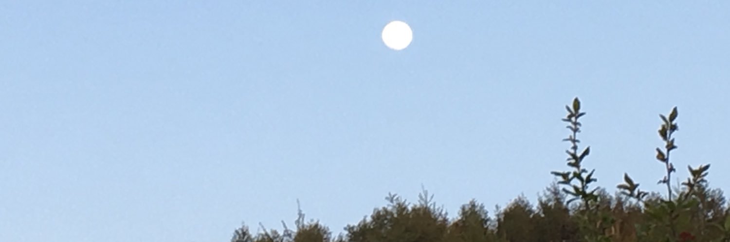 おーさんん🌏🕊❄️ banner