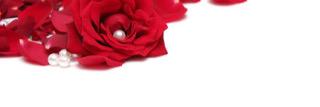 SBSSSO's profile banner image