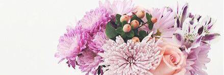gnoemi_'s profile banner image