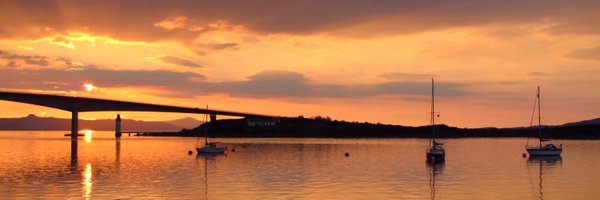 danisasaki Profile Banner