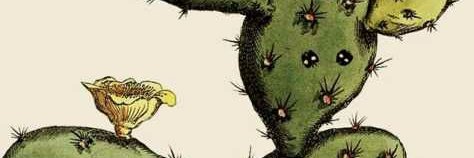 AnastaG07's profile banner image