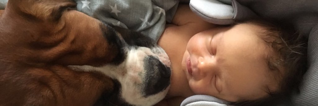 KarenOBrien10's profile banner image