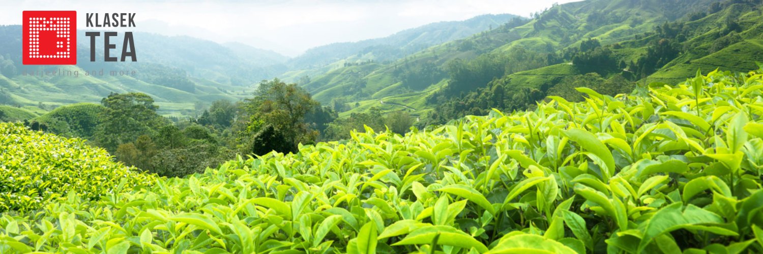 KlasekTea's profile banner image
