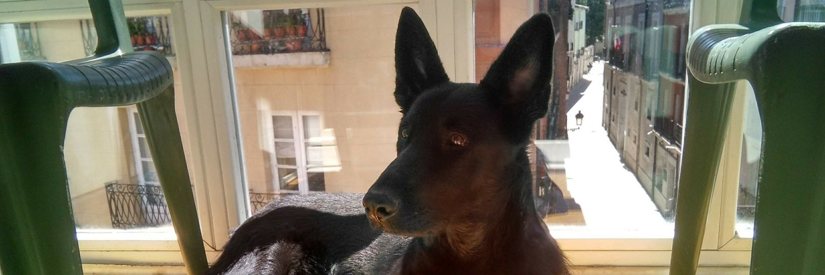 andrea garcía banner