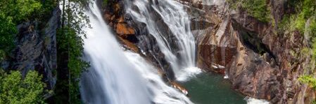 Nicole Vaught banner