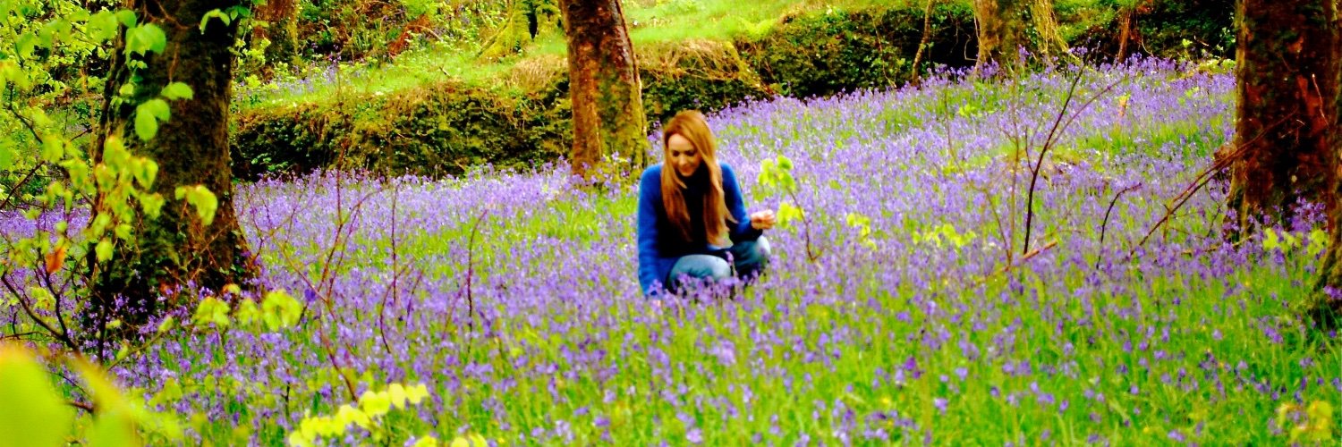 elinsybr's profile banner image