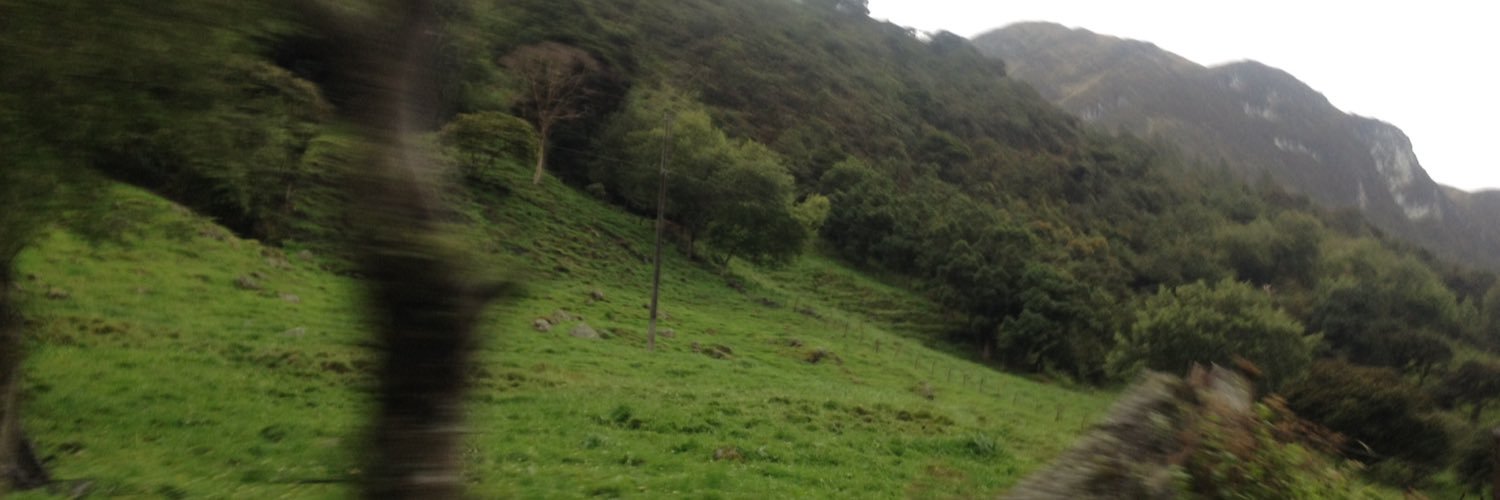 EdisonTandazo's profile banner image