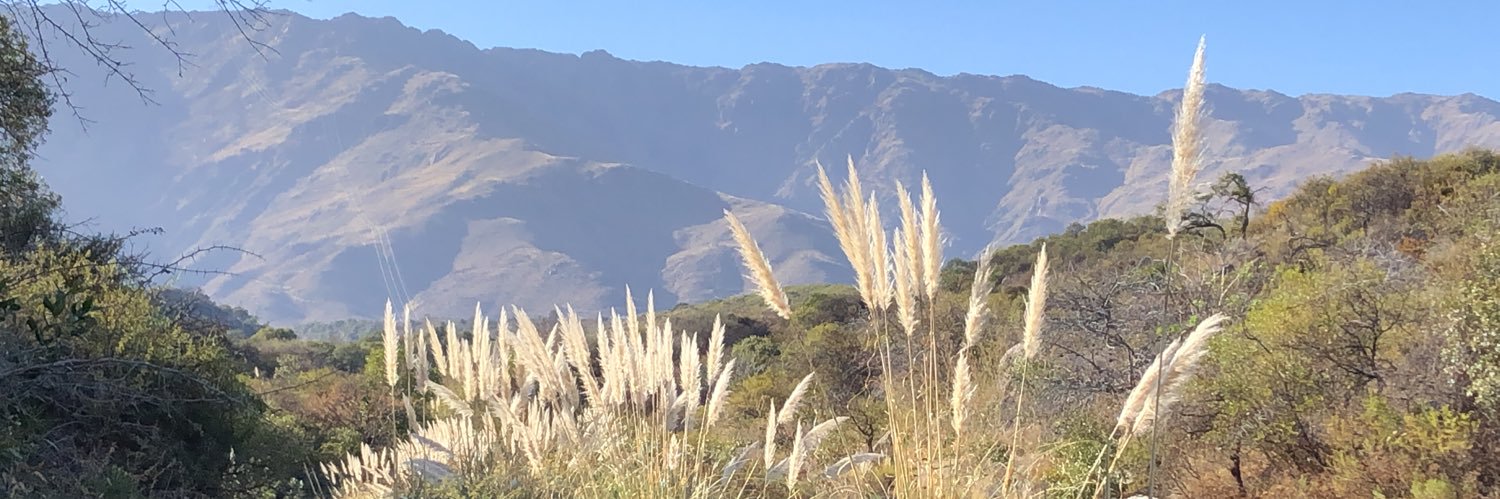 duernhoefer's profile banner image