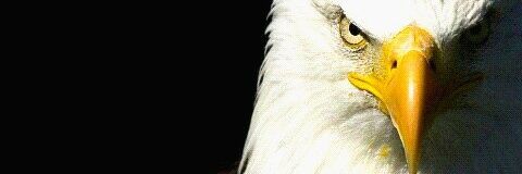 van_nerr0's profile banner image