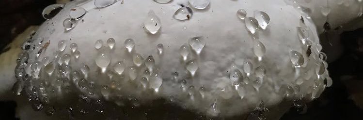 momtht's profile banner image