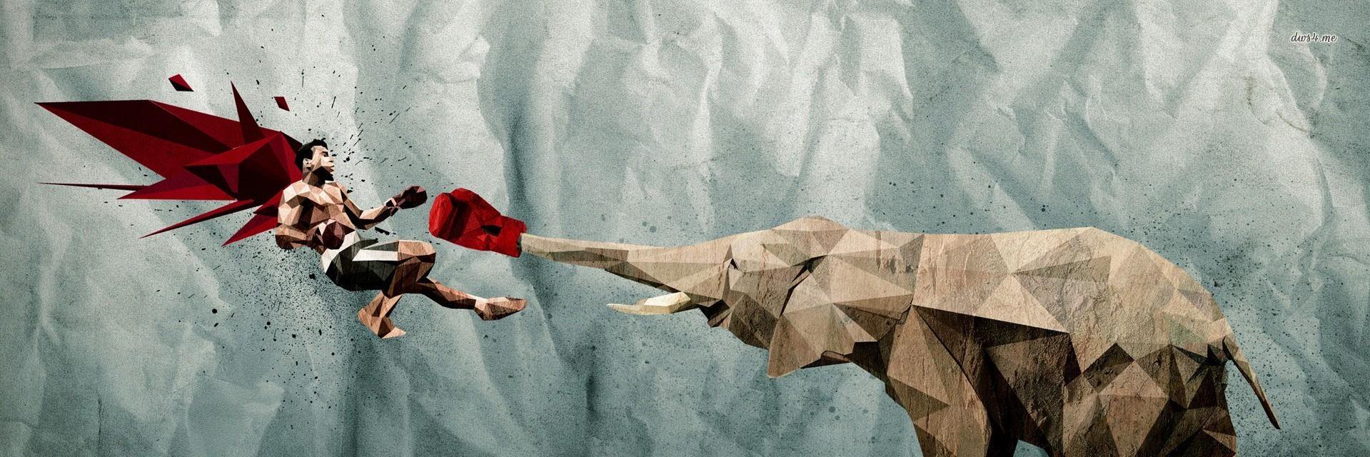 BOXE ATTITUDE banner