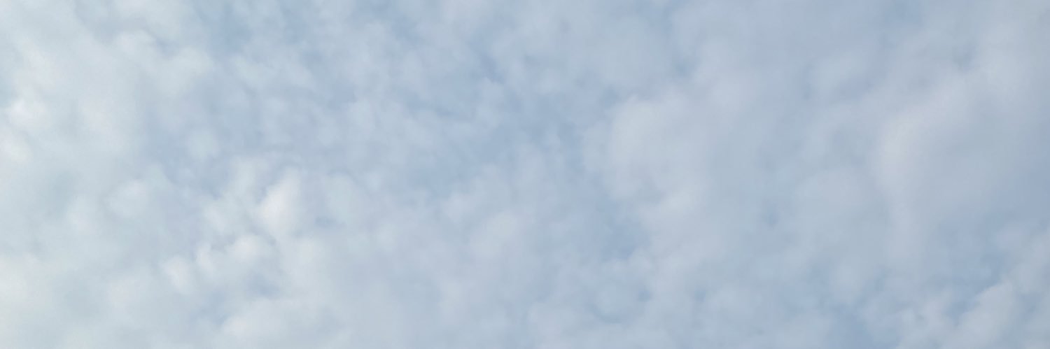 herly___'s profile banner image