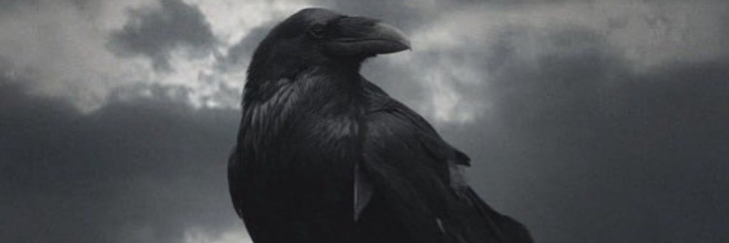 Raven banner